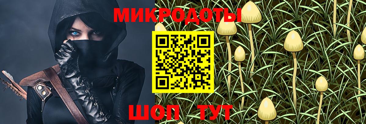 Псилоцибиновые грибы Psilocybe  Галлюциногенные грибы прущие грибы  Сарапул  Вход с VPN 